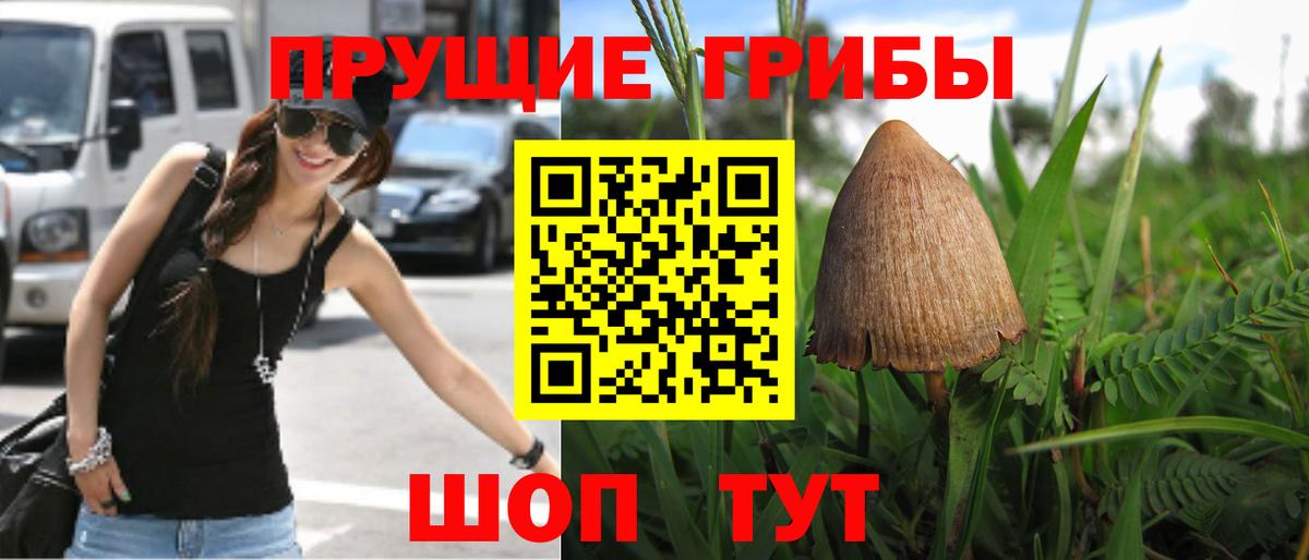 Саянск  Галлюциногенные грибы MAGIC MUSHROOMS  где продают   Вход с VPN 